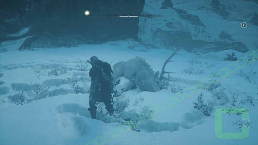  Mystery   Legendary Animal   location   Rygjafylke   AC Valhalla | camzillasmomcom