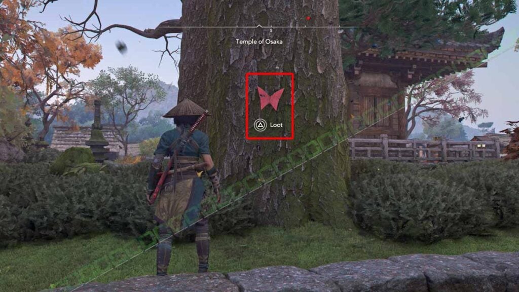  Origami 8   The Butterfly Collector   location   Izumi Settsu Region   Assassins Creed Shadows 2025 | camzillasmomcom