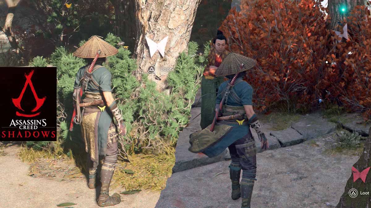  The Butterfly Collector - location - Izumi Settsu Region - Assassins Creed Shadows 2025 camzillasmom.com