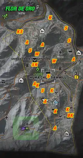  FLOR DE ORO All Collectables Map Overview | camzillasmomcom