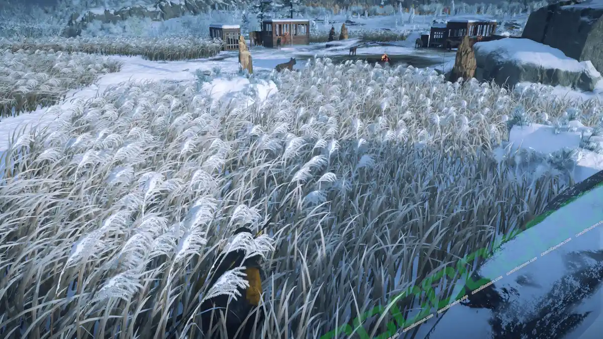 Houndmaster Toyotaro location - Ghost of Yotei › camzillasmom.com Houndmaster Toyotaro location Ghost of Yotei | camzillasmomcom