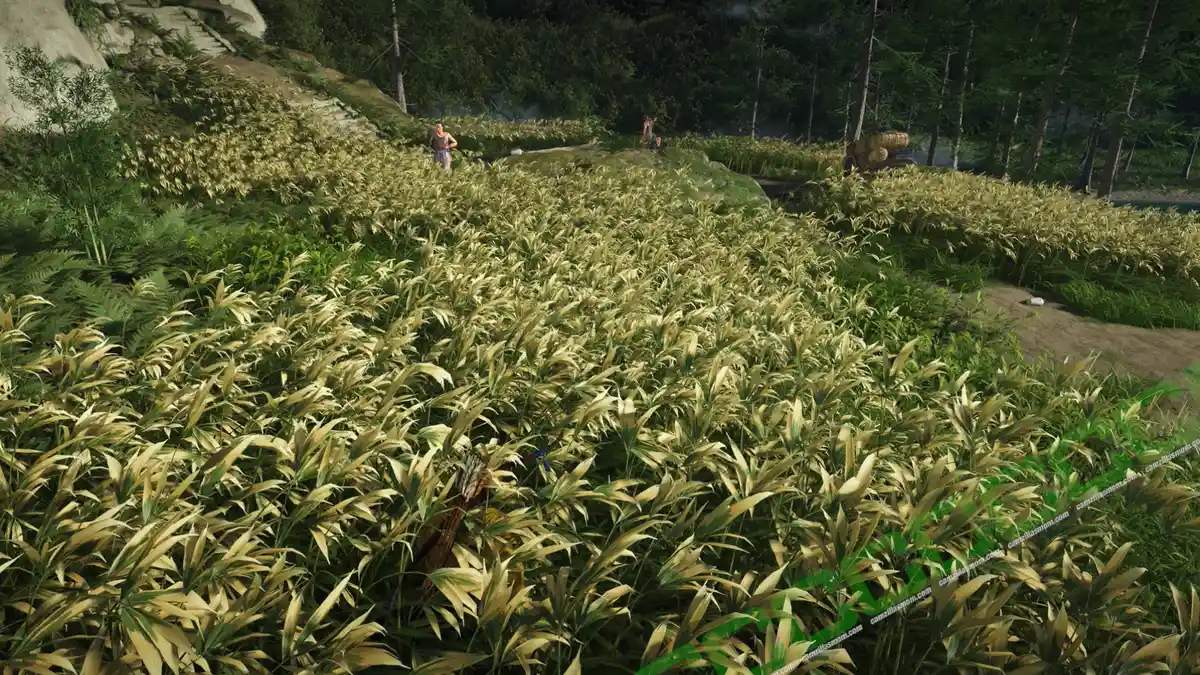 Soma the Condemned - Ghost of Yotei › camzillasmom.com Soma the Condemned Ghost of Yotei | camzillasmomcom