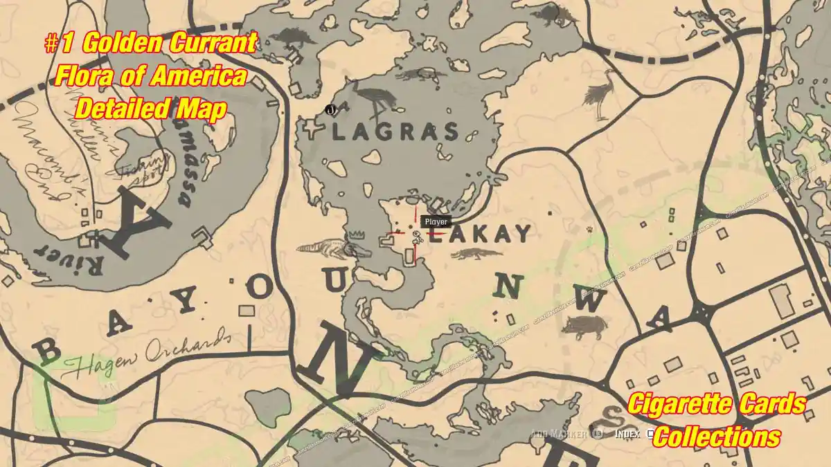 1-Flora-detailed-map-Cigarette-Cards › camzillasmom.com 1 Flora detailed map Cigarette Cards | camzillasmomcom