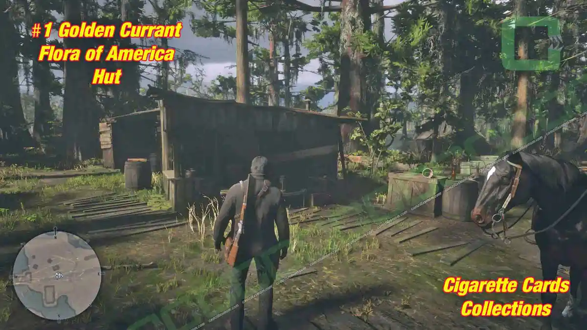 1-Flora-hut-Cigarette-Cards › camzillasmom.com 1 Flora hut Cigarette Cards | camzillasmomcom