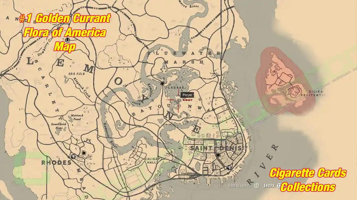 1-Flora-map-Cigarette-Cards › camzillasmom.com 1 Flora map Cigarette Cards | camzillasmomcom
