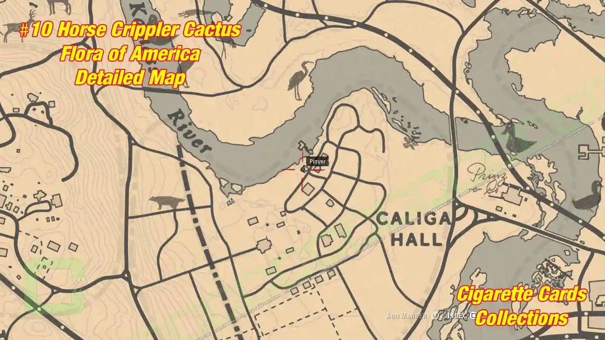 10-Flora-detailed-map-Cigarette-Cards › camzillasmom.com 10 Flora detailed map Cigarette Cards | camzillasmomcom