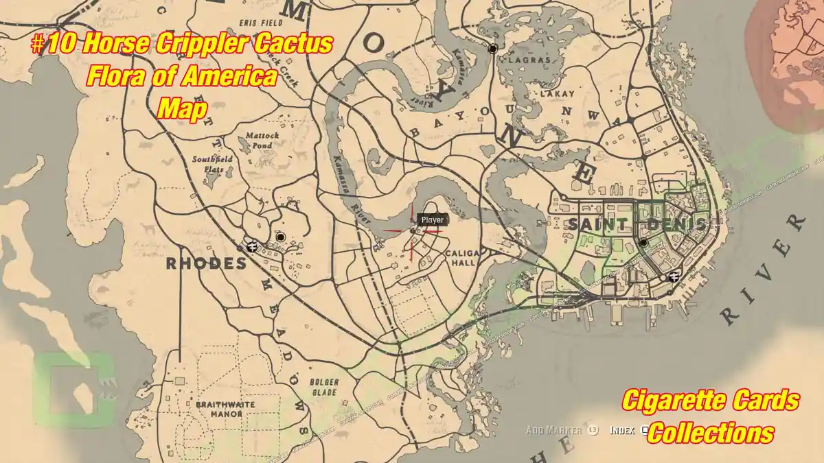 10-Flora-map-Cigarette-Cards › camzillasmom.com 10 Flora map Cigarette Cards | camzillasmomcom