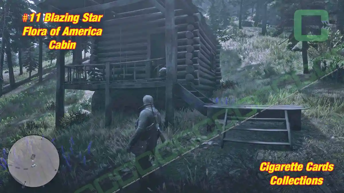 11-Flora-Cabin-Cigarette-Cards › camzillasmom.com 11 Flora Cabin Cigarette Cards | camzillasmomcom