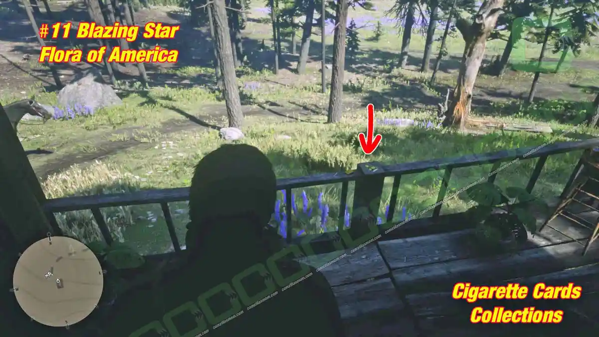 11-Flora-Location-Cigarette-Cards › camzillasmom.com 11 Flora Location Cigarette Cards | camzillasmomcom
