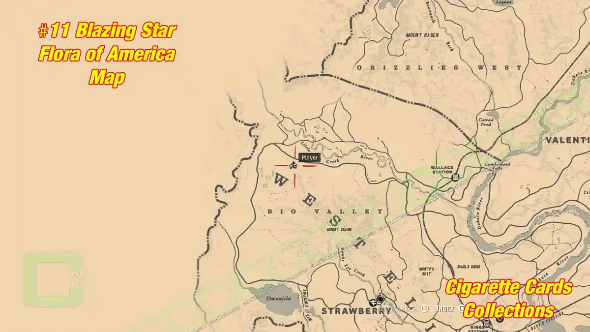 11-Flora-Map-Cigarette-Cards › camzillasmom.com 11 Flora Map Cigarette Cards | camzillasmomcom