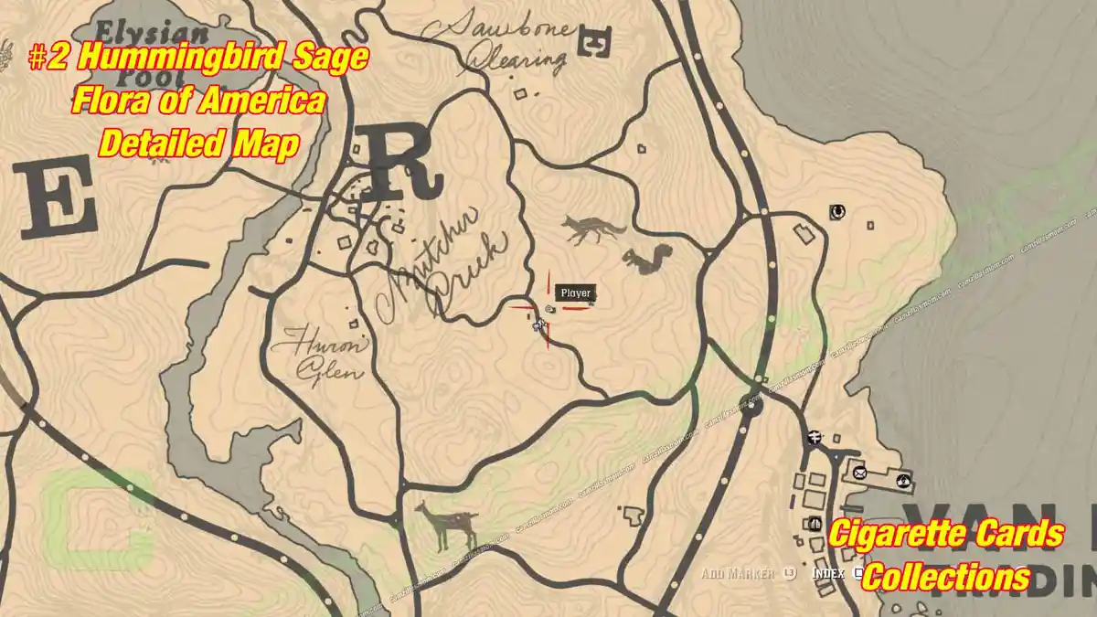 2-Flora-detailed-map-Cigarette-Cards › camzillasmom.com 2 Flora detailed map Cigarette Cards | camzillasmomcom