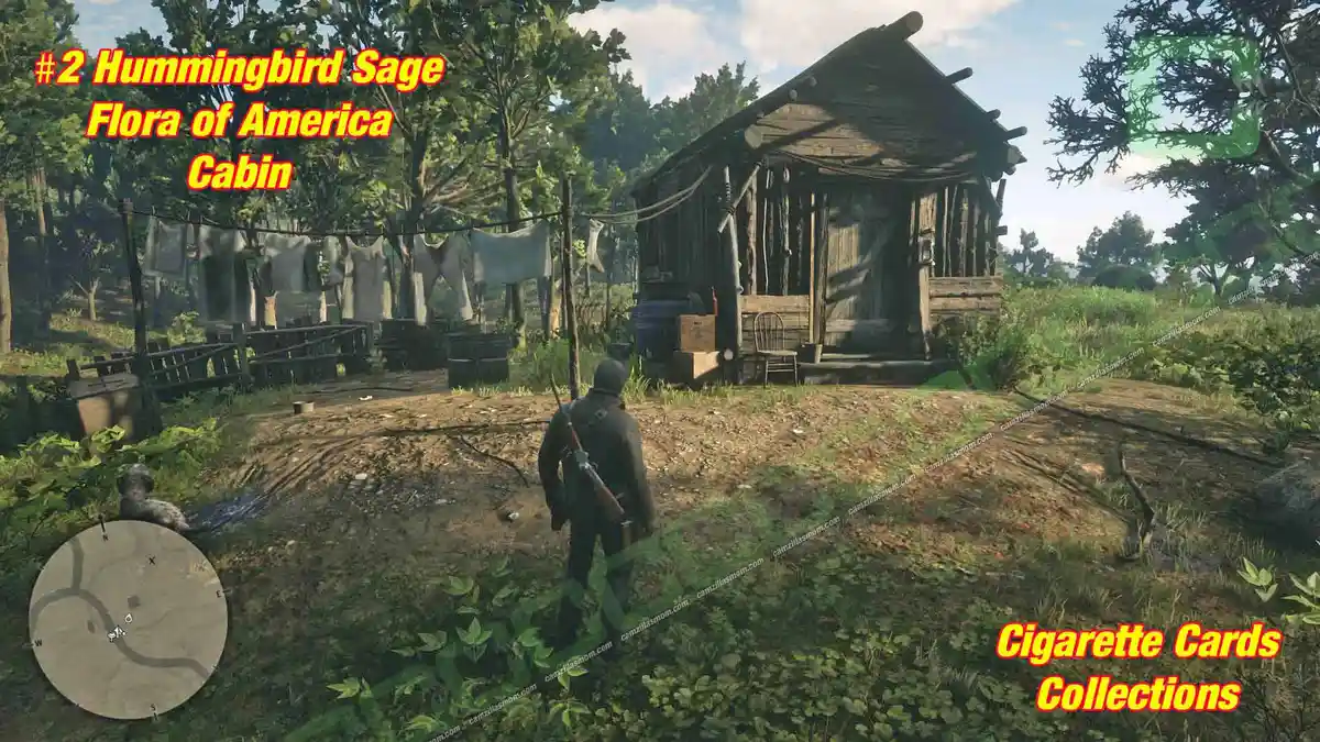 2-Flora-hut-Cigarette-Cards › camzillasmom.com 2 Flora hut Cigarette Cards | camzillasmomcom