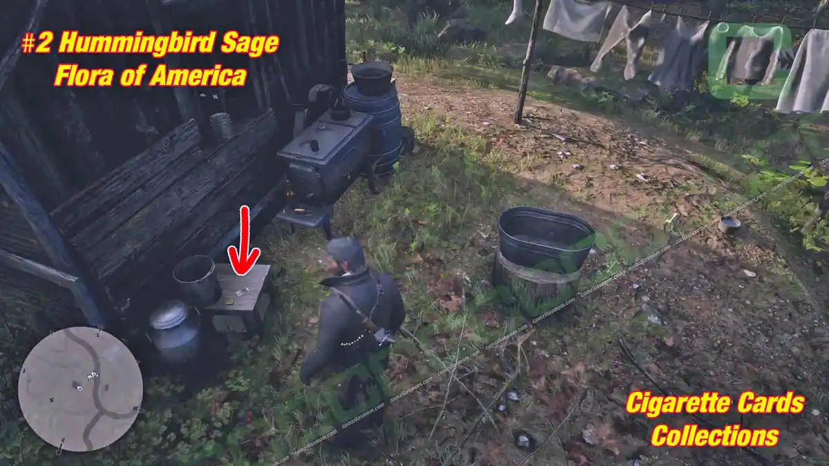 2-Flora-location-Cigarette-Cards › camzillasmom.com 2 Flora location Cigarette Cards | camzillasmomcom