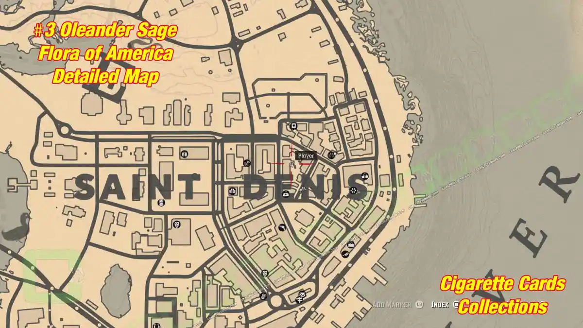 3-Flora-detailed-map-Cigarette-Cards › camzillasmom.com 3 Flora detailed map Cigarette Cards | camzillasmomcom