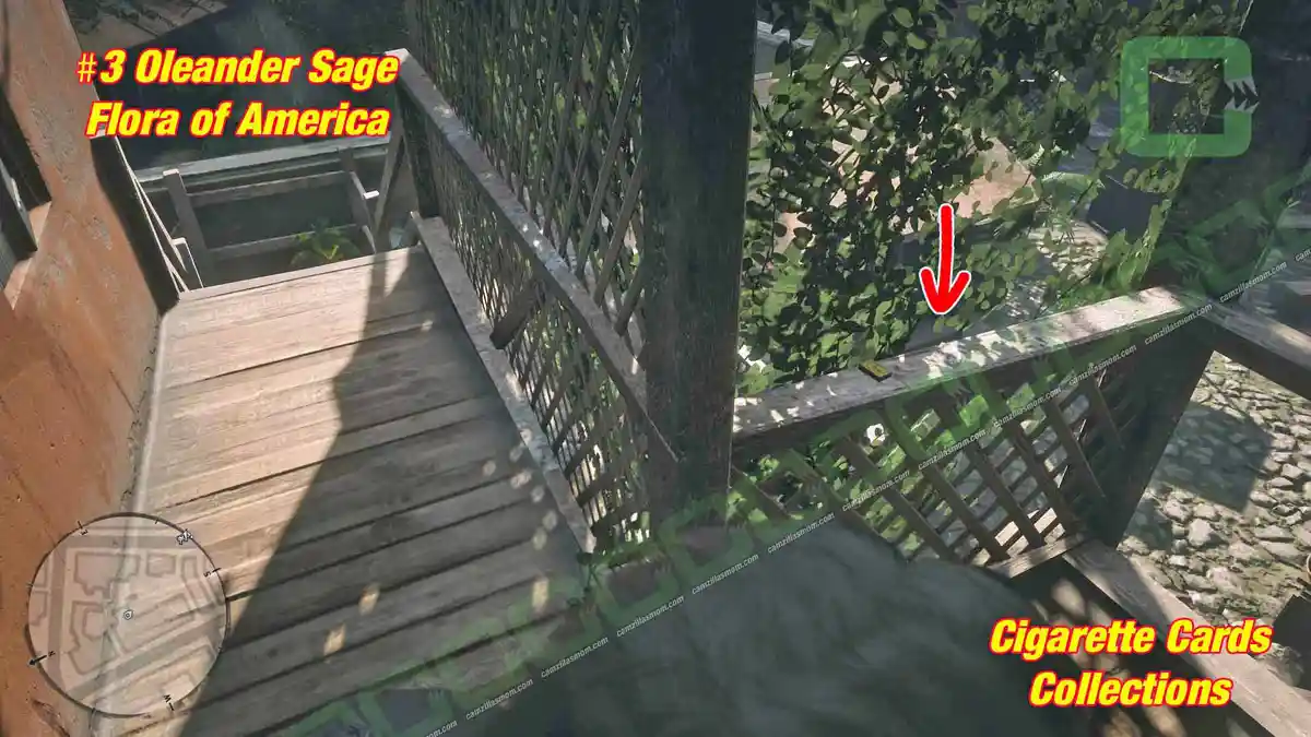 3-Flora-location-Cigarette-Cards › camzillasmom.com 3 Flora location Cigarette Cards | camzillasmomcom
