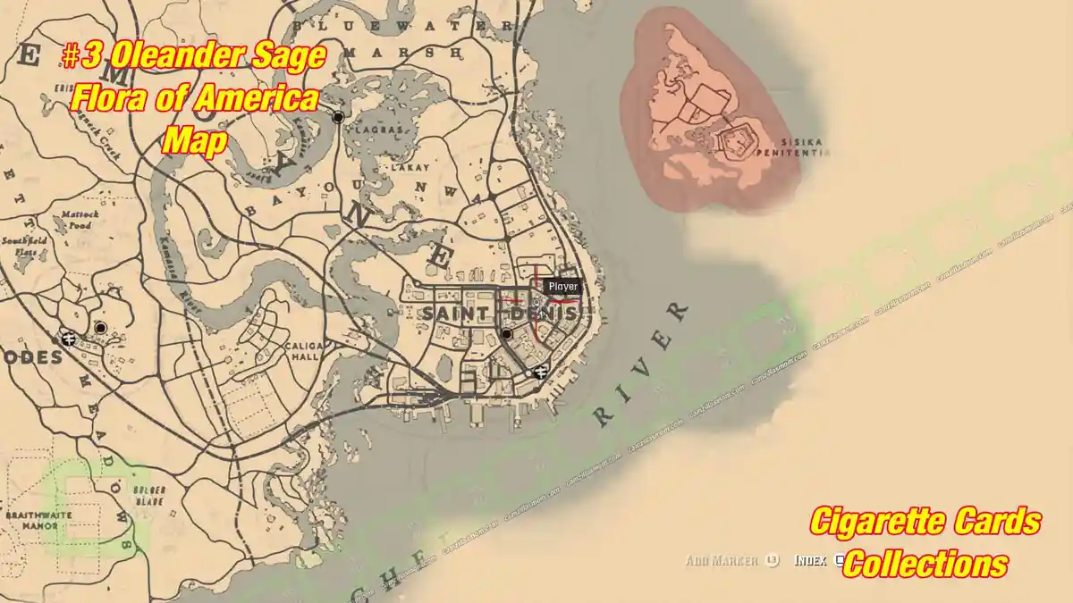 3-Flora-map-Cigarette-Cards › camzillasmom.com 3 Flora map Cigarette Cards | camzillasmomcom