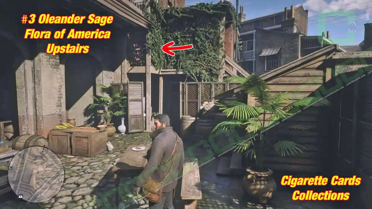 3-Flora-upstairs-Cigarette-Cards › camzillasmom.com 3 Flora upstairs Cigarette Cards | camzillasmomcom