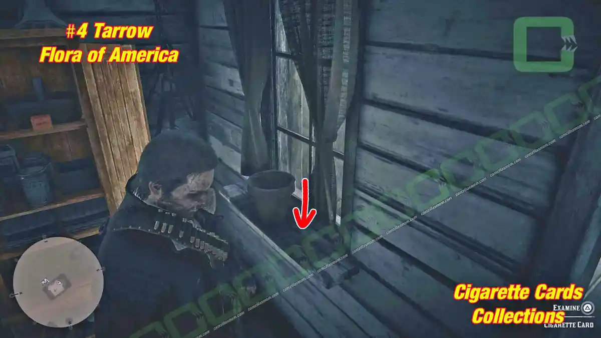 4-Flora-locatoin-Cigarette-Cards › camzillasmom.com 4 Flora locatoin Cigarette Cards | camzillasmomcom