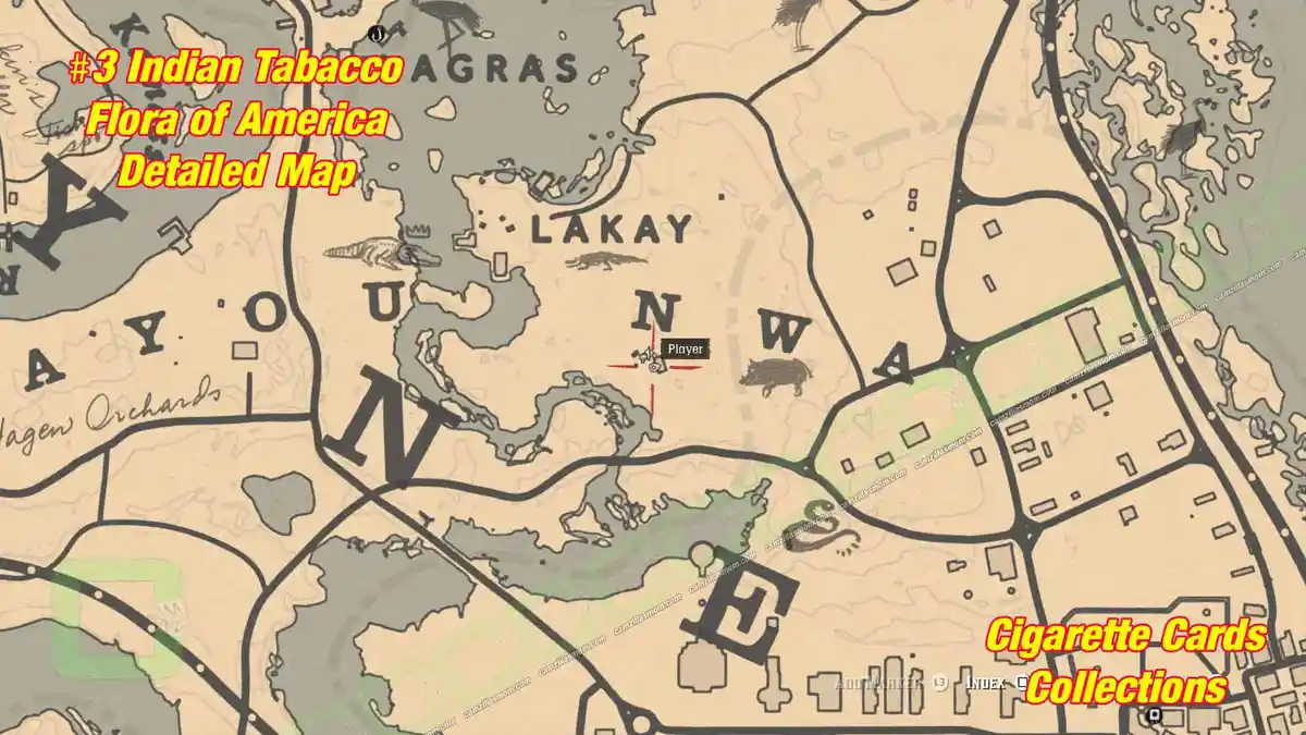 5-Flora-detailed-map-Cigarette-Cards › camzillasmom.com 5 Flora detailed map Cigarette Cards | camzillasmomcom