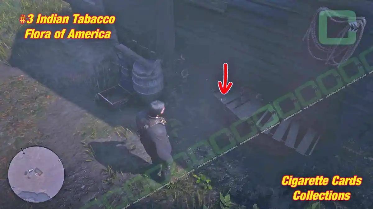 5-Flora-location-Cigarette-Cards › camzillasmom.com 5 Flora location Cigarette Cards | camzillasmomcom