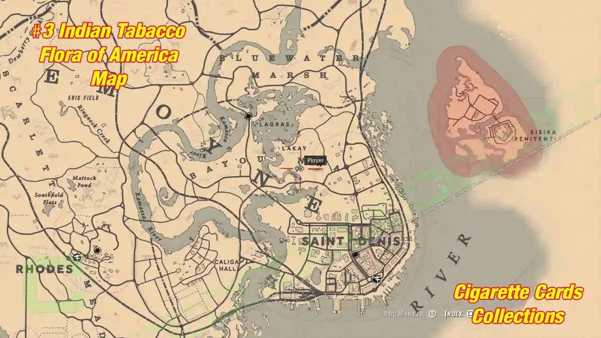5-Flora-map-Cigarette-Cards › camzillasmom.com 5 Flora map Cigarette Cards | camzillasmomcom