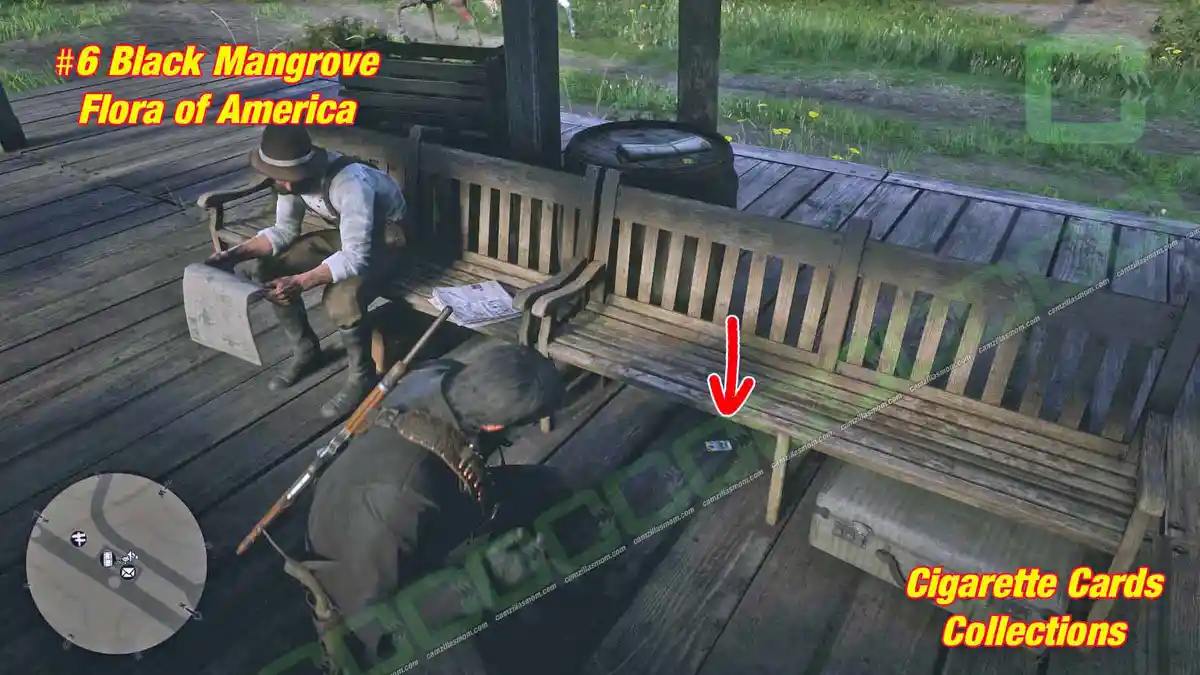 6-Flora-location-Cigarette-Cards › camzillasmom.com 6 Flora location Cigarette Cards | camzillasmomcom