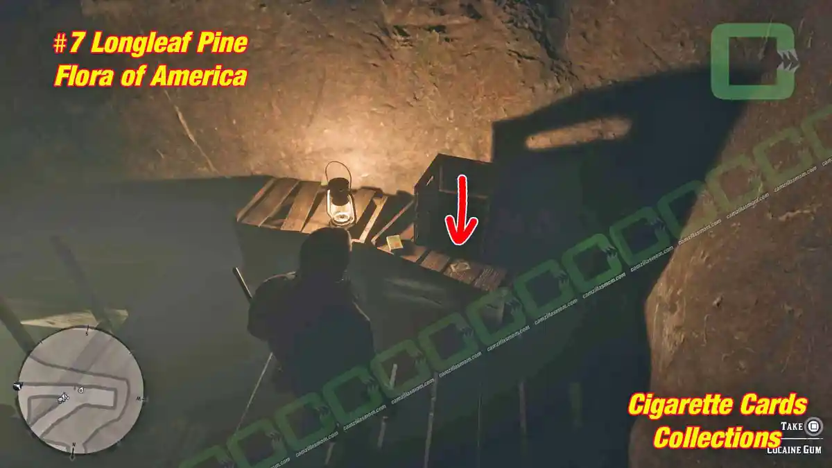 7-Flora-Detailed-location-Cigarette-Cards › camzillasmom.com 7 Flora Detailed location Cigarette Cards | camzillasmomcom