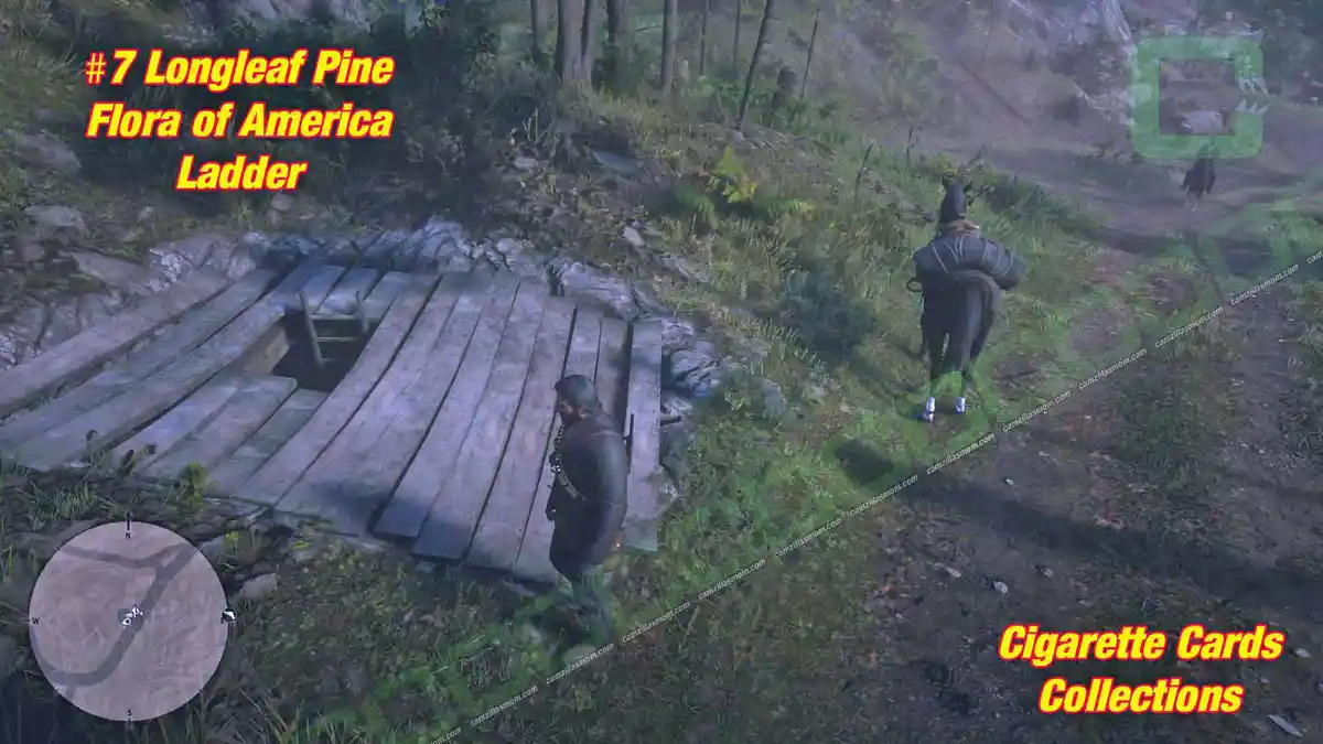 7-Flora-ladder--Cigarette-Cards › camzillasmom.com 7 Flora ladder Cigarette Cards | camzillasmomcom