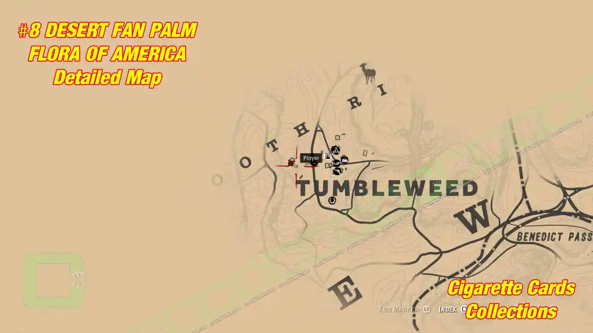 8-Desert-Fan-Palm-map-detailed-Cigarette-Cards-Red-Dead-Redemption-2 › camzillasmom.com 8 Desert Fan Palm map detailed Cigarette Cards Red Dead Redemption 2 | camzillasmomcom