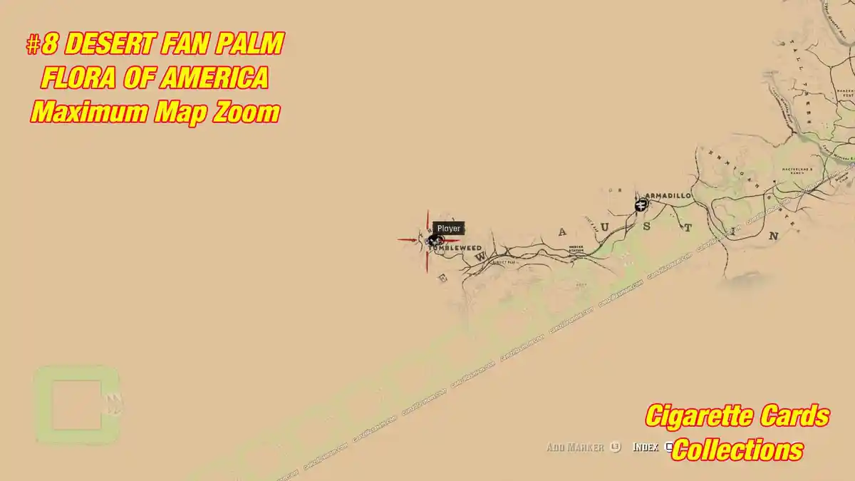 8-Desert-Fan-Palm-map-zoom-out-Cigarette-Cards-Red-Dead-Redemption-2 › camzillasmom.com 8 Desert Fan Palm map zoom out Cigarette Cards Red Dead Redemption 2 | camzillasmomcom