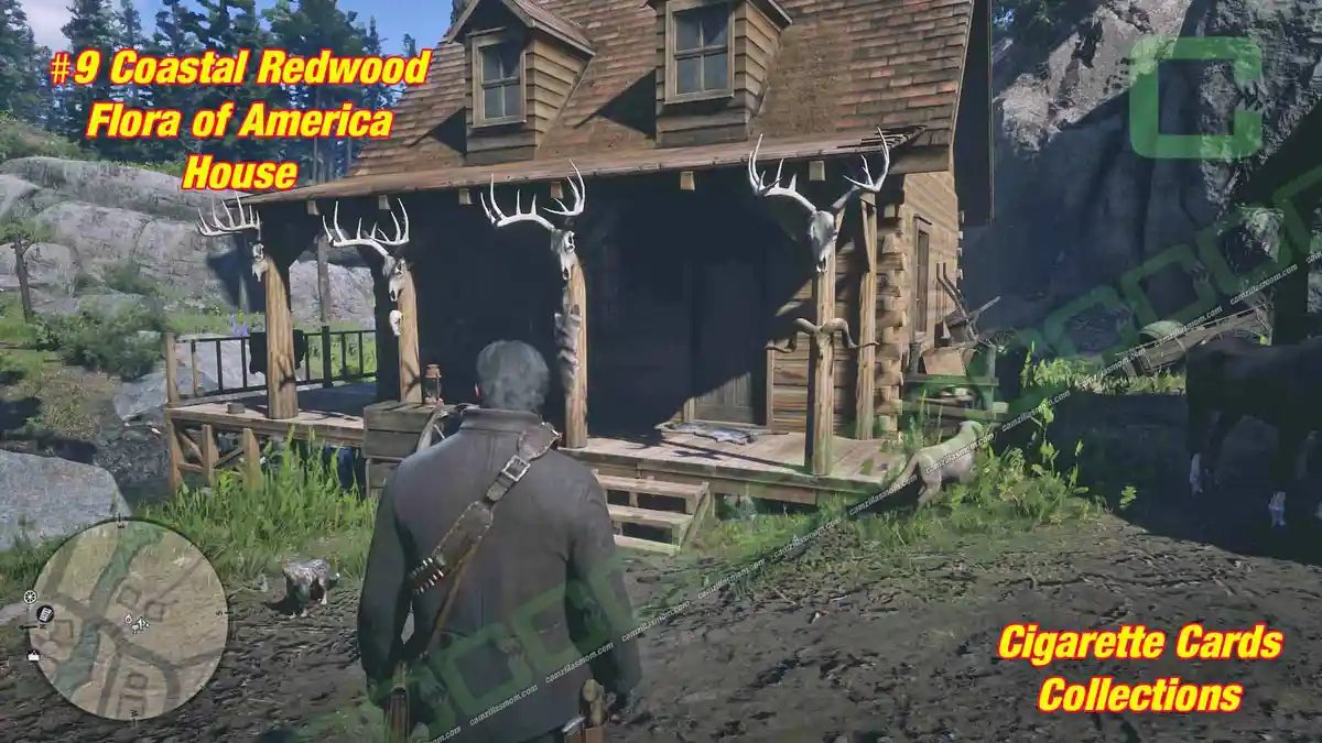 9-Flora-House-Cigarette-Cards › camzillasmom.com 9 Flora House Cigarette Cards | camzillasmomcom