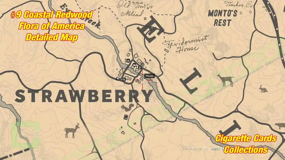 9-Flora-detailed-map-Cigarette-Cards › camzillasmom.com 9 Flora detailed map Cigarette Cards | camzillasmomcom
