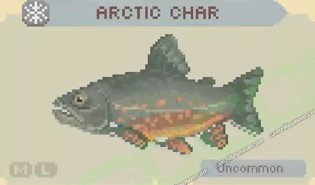 Arctic Char - Cast n Chill › camzillasmom.com Arctic Char Cast n Chill | camzillasmomcom