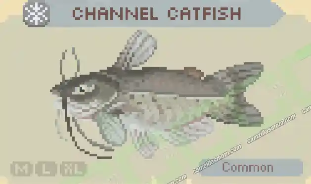 Channel Catfish - Cast n Chill › camzillasmom.com Channel Catfish Cast n Chill | camzillasmomcom