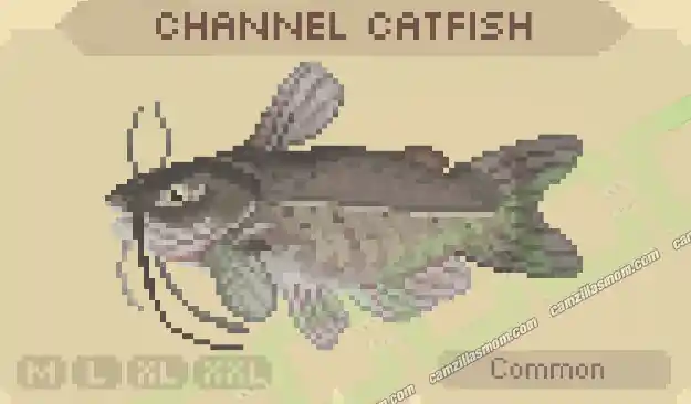 Channel Catfish Dark - Cast n Chill › camzillasmom.com Channel Catfish Dark Cast n Chill | camzillasmomcom