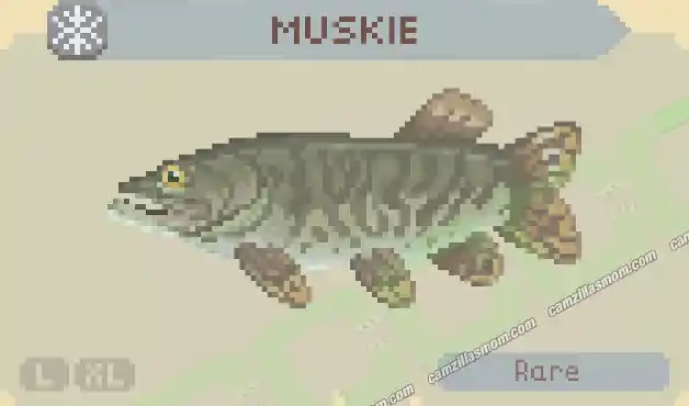 Muskie - Cast n Chill › camzillasmom.com Muskie Cast n Chill | camzillasmomcom