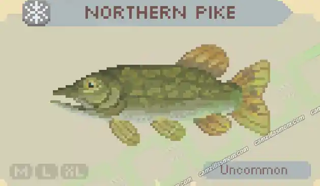 Northern Pike - Cast n Chill › camzillasmom.com Northern Pike Cast n Chill | camzillasmomcom