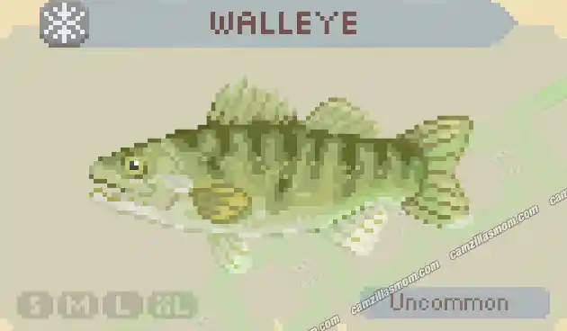 Walleye - Cast n Chill › camzillasmom.com Walleye Cast n Chill | camzillasmomcom