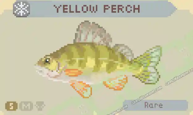 Yellow Perch - Cast n Chill › camzillasmom.com Yellow Perch Cast n Chill | camzillasmomcom
