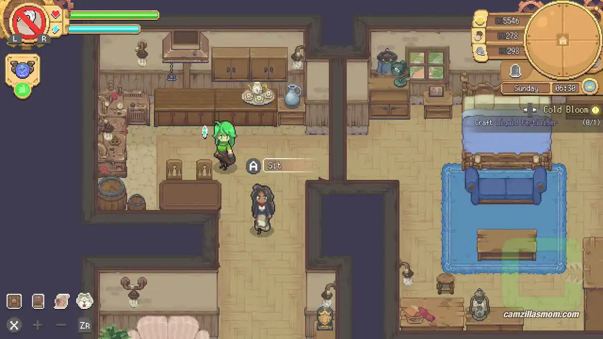  Cassandra-1-location-Potion-Permit-2022 camzillasmom.com