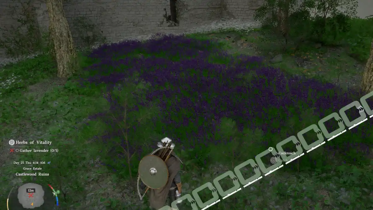 Herbs of Vitality - Lavender - location - Crimson Desert Herbs of Vitality - Lavender - location - Crimson Desert camzillasmom.com