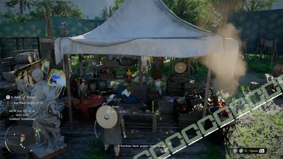  A Sack of Black Pepper - Buy Black Pepper - location - Crimson Desert camzillasmom.com