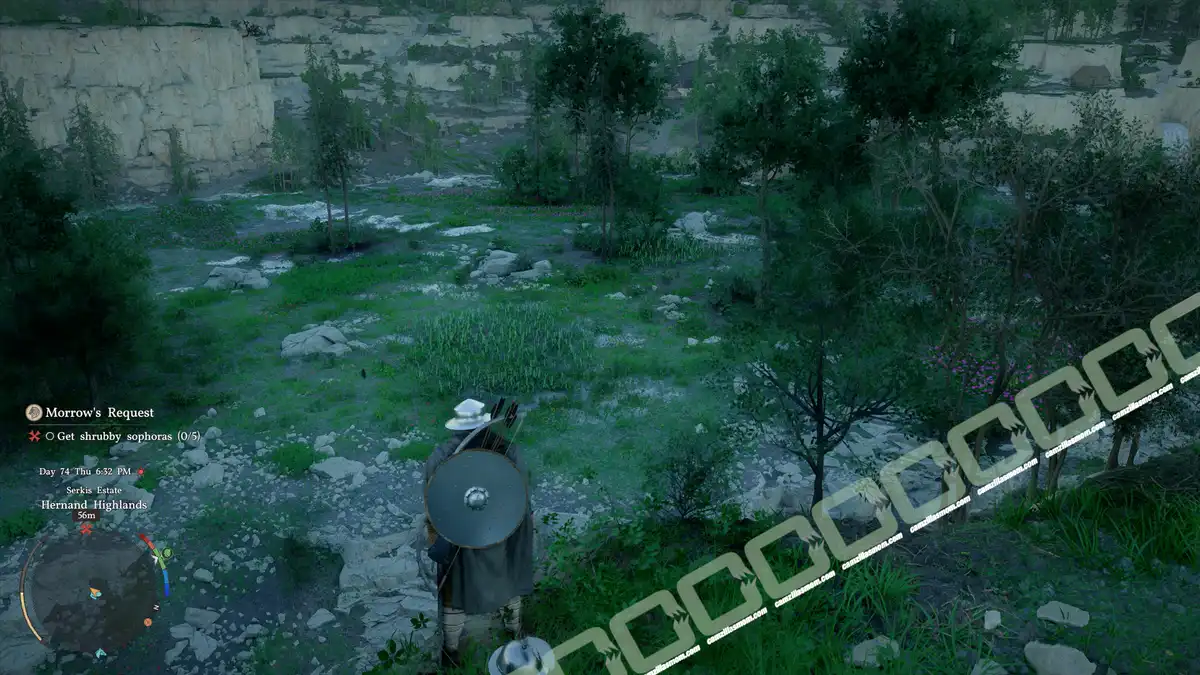 Morrows Request - Shrubby Sophoras - location - Crimson Desert Morrows Request - Shrubby Sophoras - location - Crimson Desert camzillasmom.com