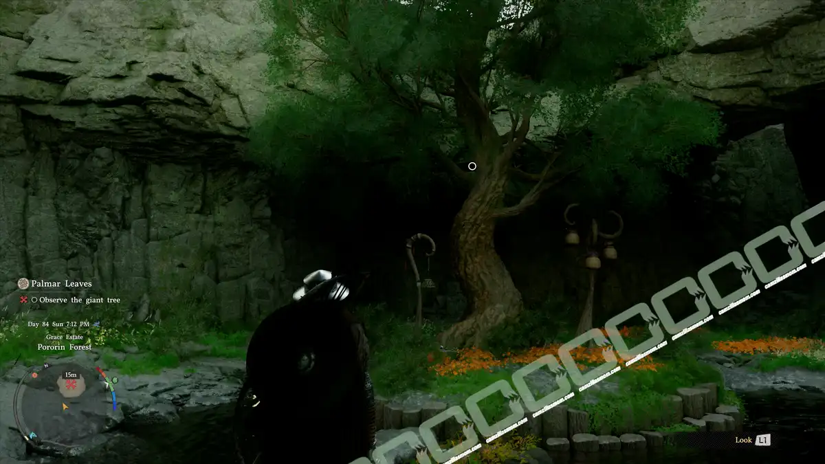  Palmar Leaves - start - location - Crimson Desert camzillasmom.com