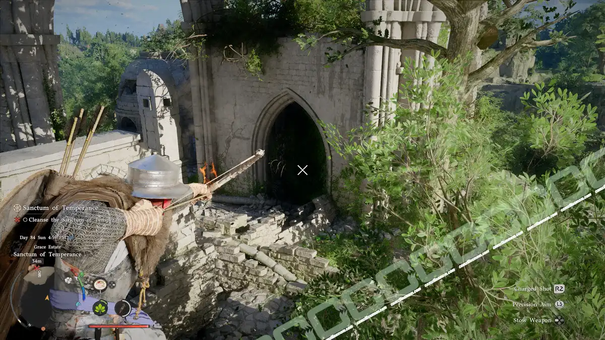 Sanctum of Temperance - Shoot vines - Crimson Desert Sanctum of Temperance - Shoot vines - Crimson Desert camzillasmom.com