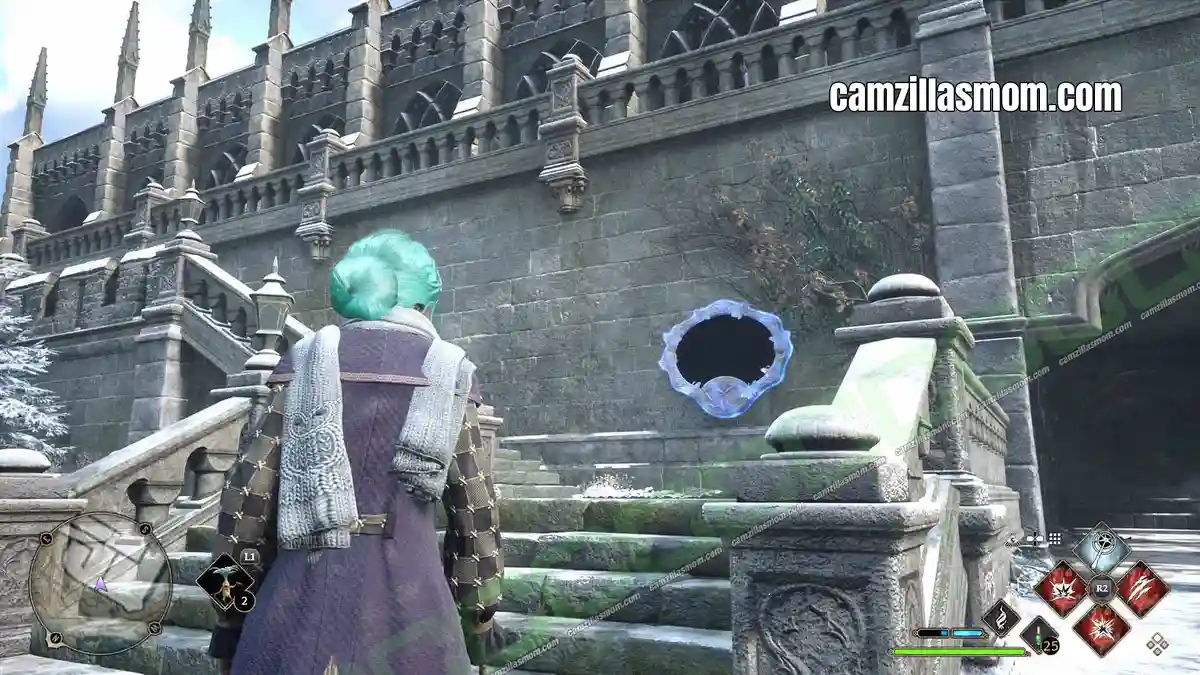 Black-Painting-Outside-The-Great-Hall-location-Hogwarts-Legacy-2023-camzillasmomcom_ Moth mirror below the outside entrance to the Great Hall - Hogwarts Legacy › camzillasmom.com