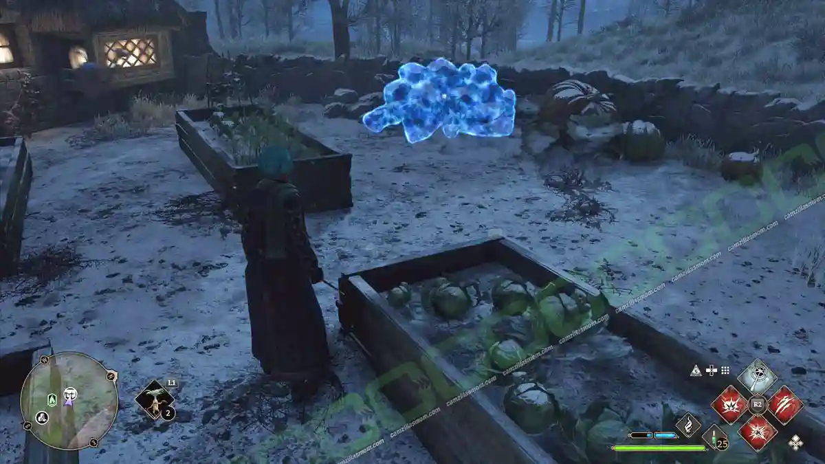 Chest-4-Aranshire-Highlands-location-Hogwarts-Legacy-2023-camzillasmomcom_ Rock pile covering Collection Chest 4 in Aranshire › camzillasmom.com's community garden