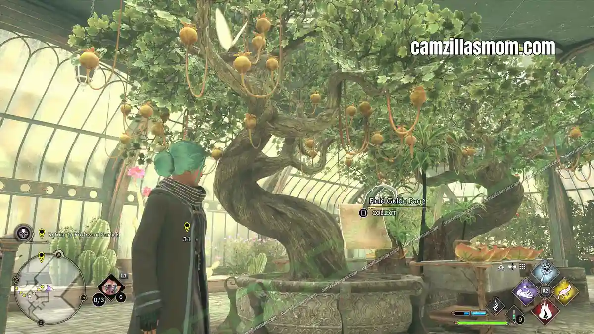 Dirigible-Plums-Guide-Pages-location-Hogwarts-Legacy-2023-camzillasmomcom_ › camzillasmom.com