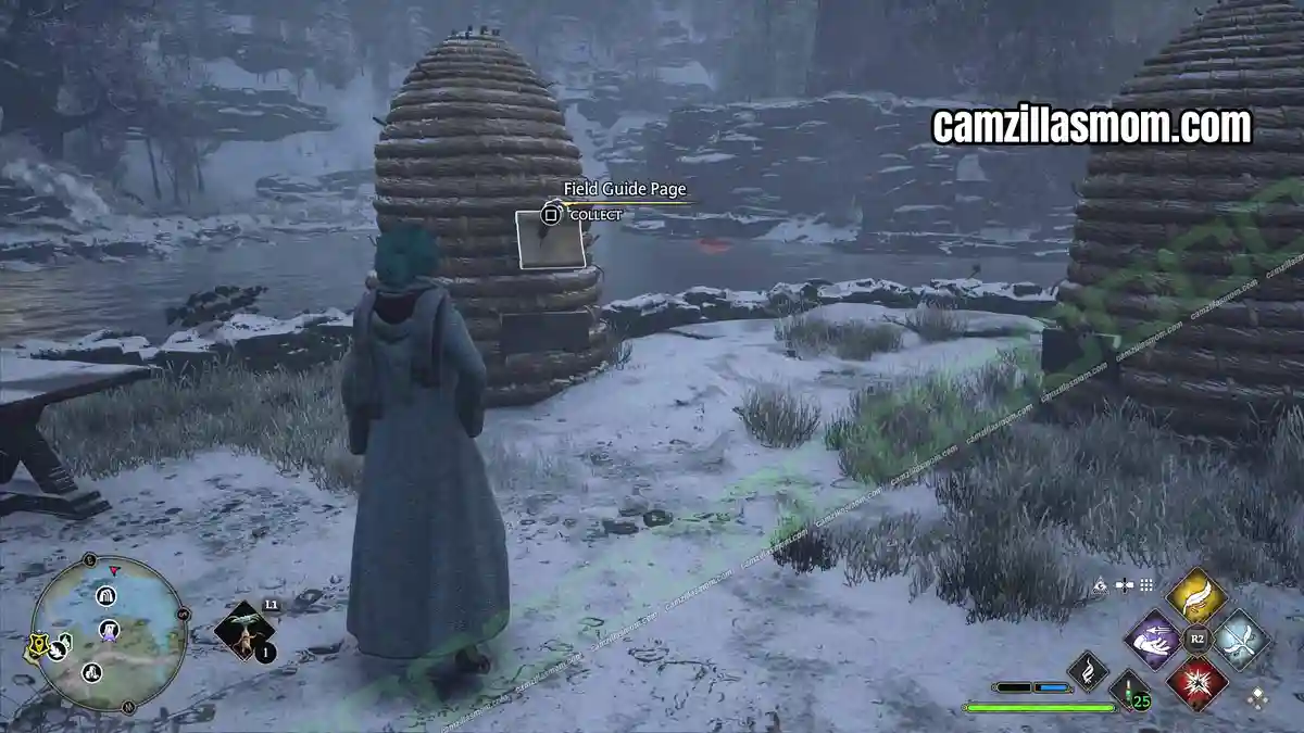 Beehives-location-Hogwarts-Legacy-2023-camzillasmomcom_ › camzillasmom.com