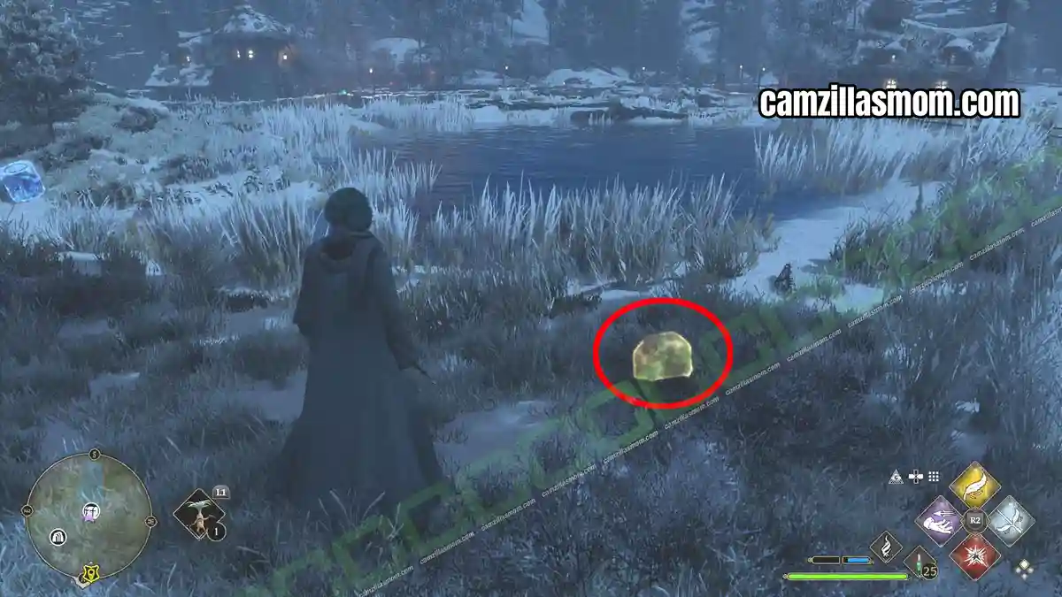 Chest-4-Brocburrow-location-Hogwarts-Legacy-2023-camzillasmomcom_ › camzillasmom.com